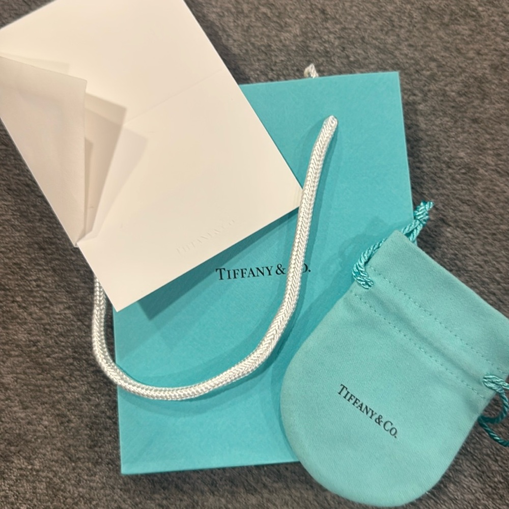 Tiffany & Co gift bag, note card, envelope and jewelry duster bag. Brand new.